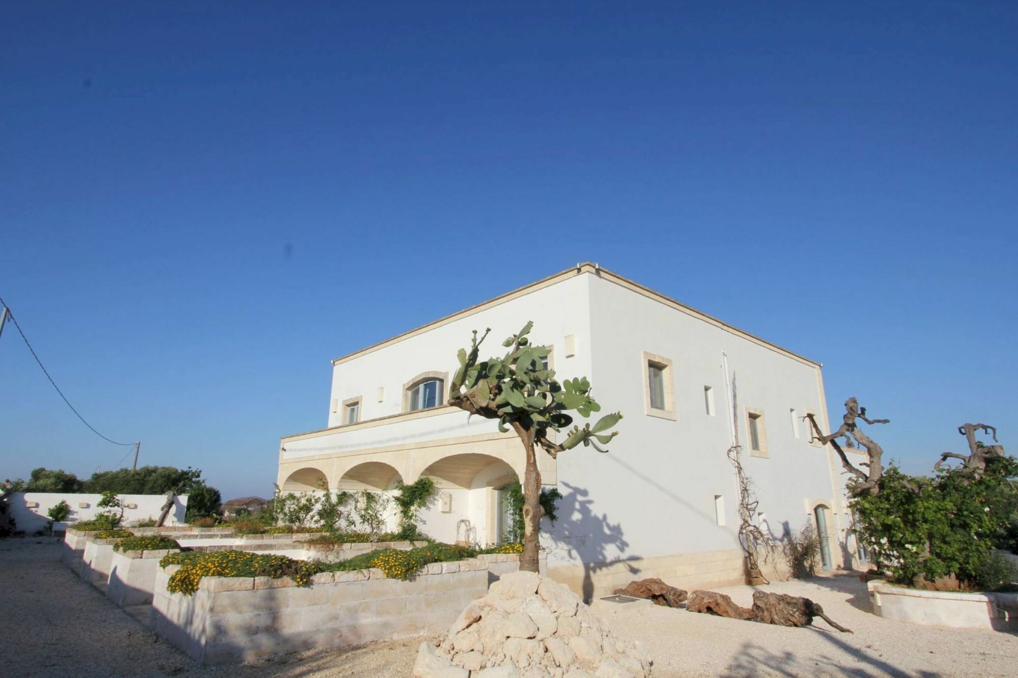 Masseria Lama Di Coccaro Savelletri Exterior photo