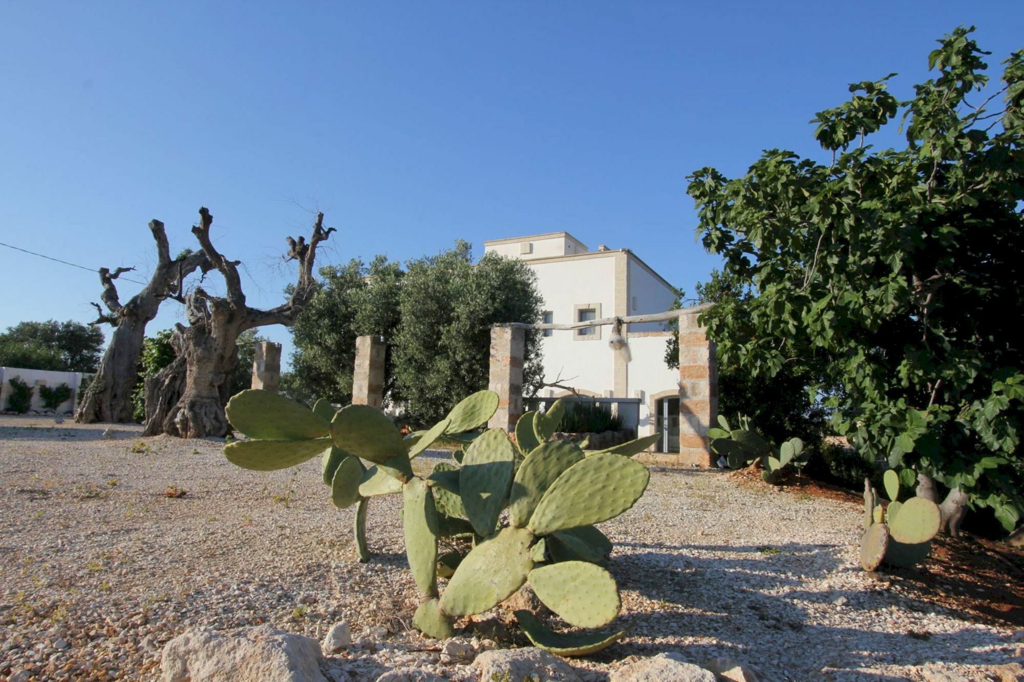 Masseria Lama Di Coccaro Savelletri Exterior photo