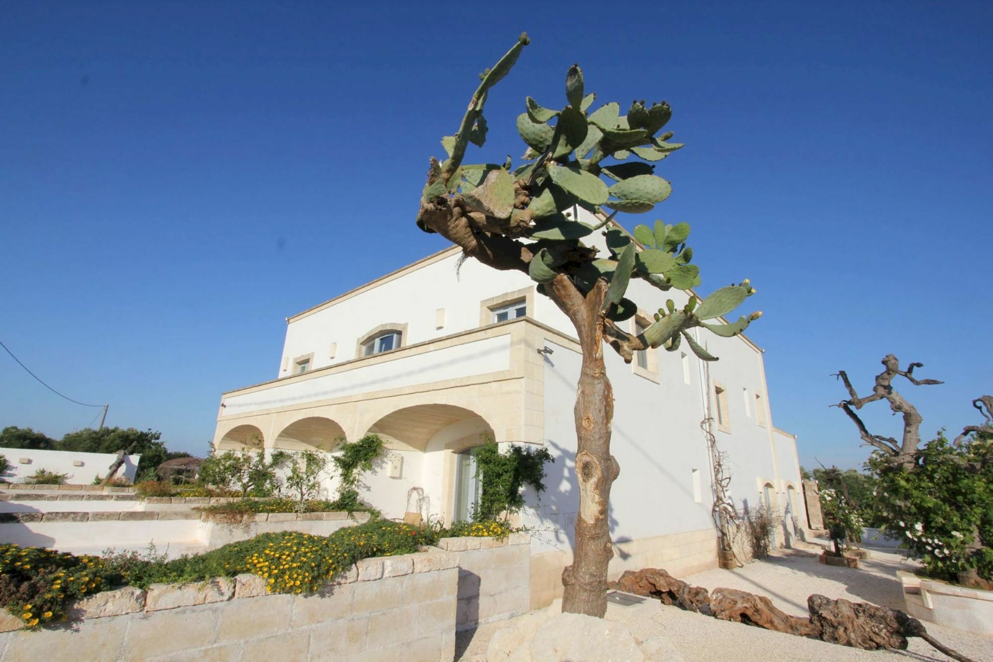 Masseria Lama Di Coccaro Savelletri Exterior photo